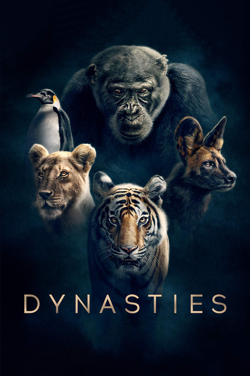 پوستر Dynasties