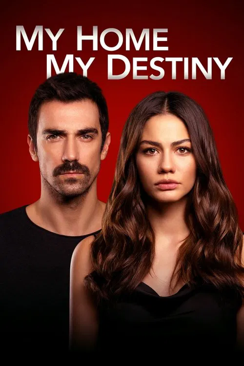 پوستر My Home My Destiny